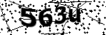 Captcha text