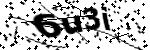 Captcha text